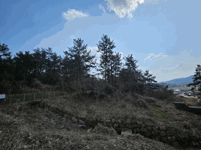 전라남도 무안군 삼향읍 임성리 산59-2 임야 경매 사진 9