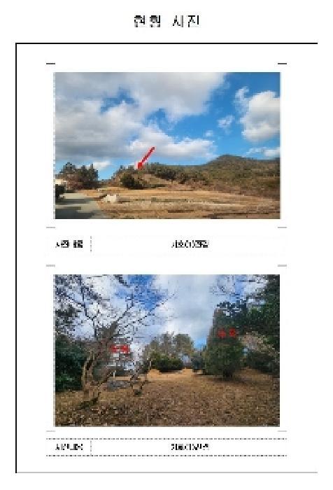 전라남도 신안군 임자면 재원리 산163 임야 경매 사진 13