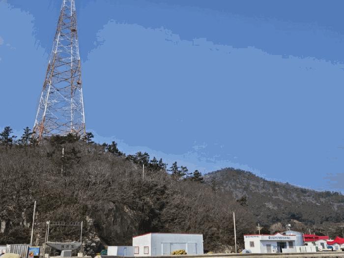 전라남도 신안군 임자면 재원리 산163 임야 경매 사진 8