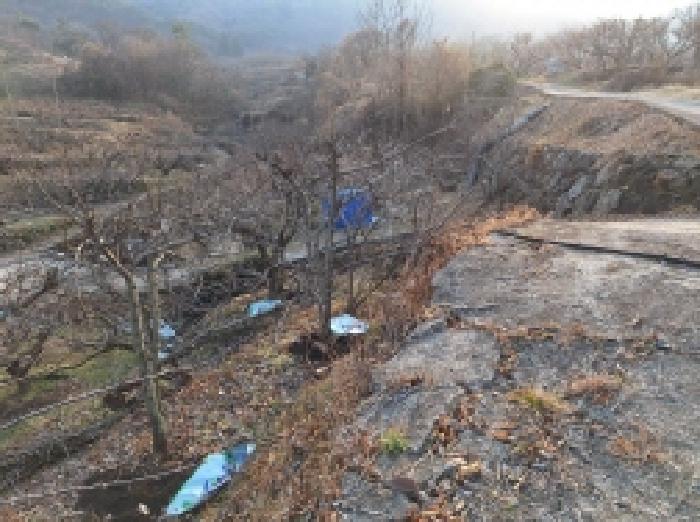 전라남도 광양시 옥곡면 장동리 195-1 전 경매 사진 6