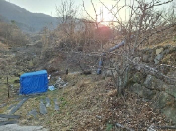 전라남도 광양시 옥곡면 장동리 195-1 전 경매 사진 7