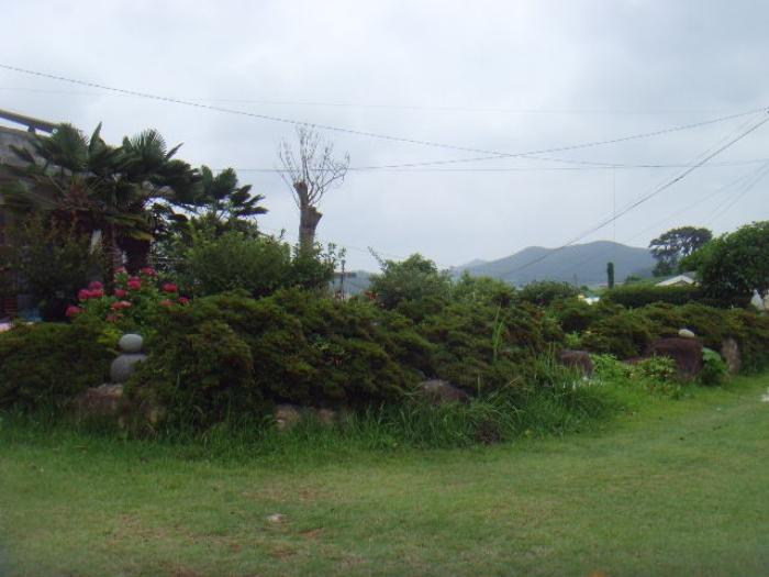 전라남도 완도군 노화읍 도청리 167 전 경매 사진 14
