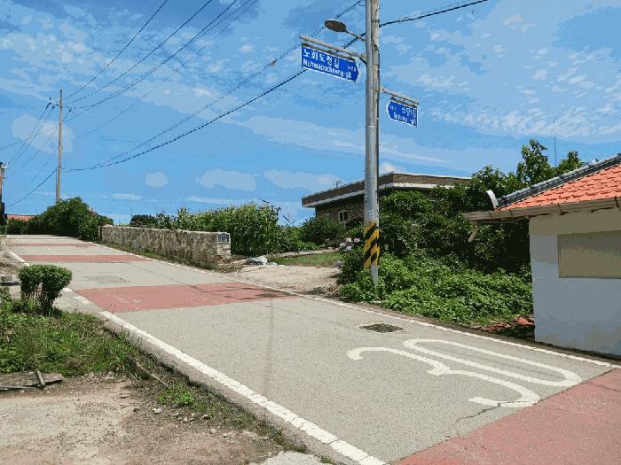 전라남도 완도군 노화읍 도청리 167 전 경매 사진 8