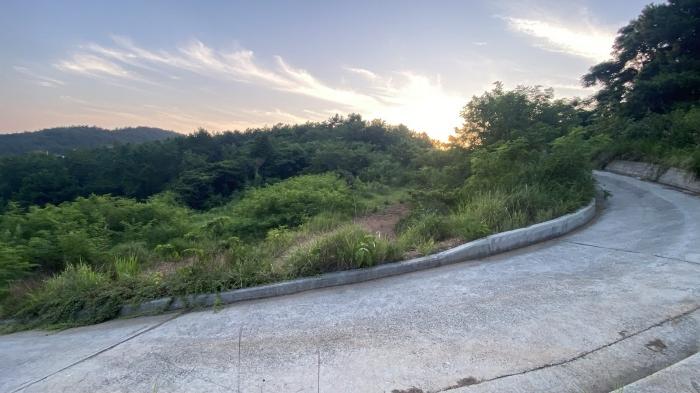 전라남도 완도군 신지면 월양리 994 전 경매 사진 3
