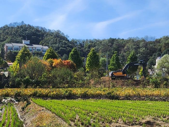 충청북도 제천시 신월동 1115-15 임야 경매 사진 4