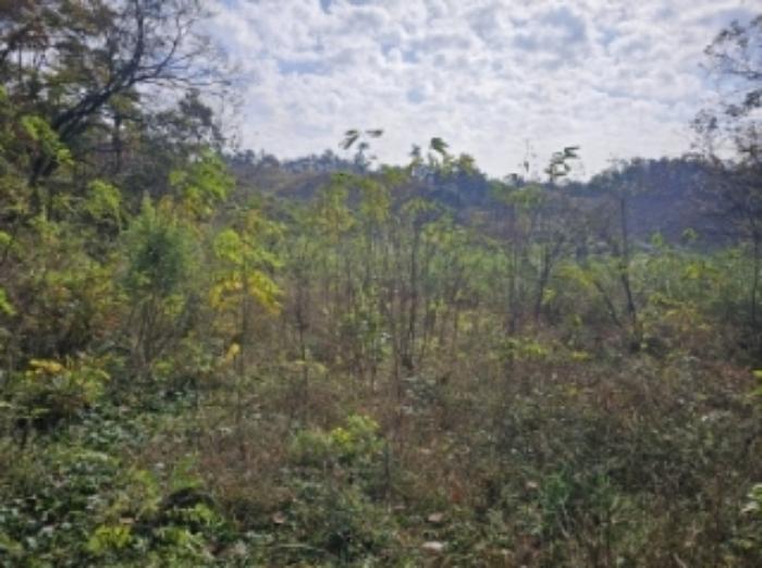 충청북도 제천시 산곡동 47 답 경매 사진 13