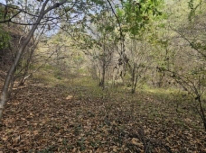 충청북도 제천시 산곡동 47 답 경매 사진 15