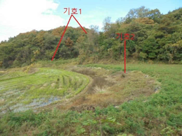 충청북도 제천시 산곡동 47 답 경매 사진 2