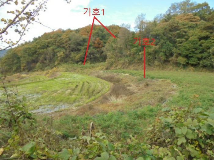 충청북도 제천시 산곡동 47 답 경매 사진 3