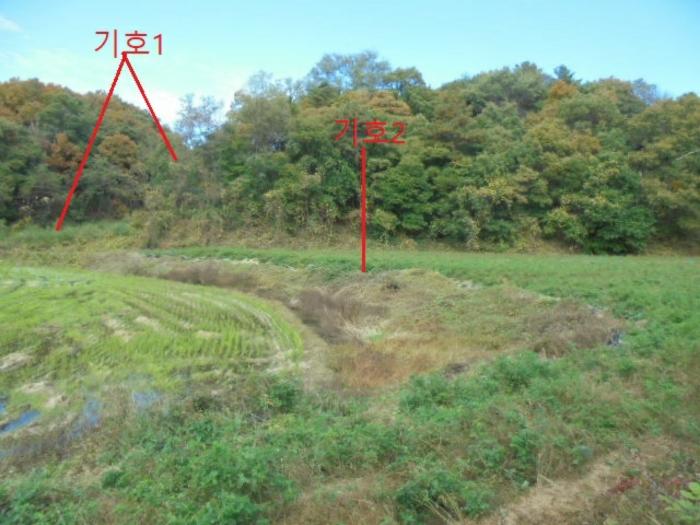 충청북도 제천시 산곡동 47 답 경매 사진 5