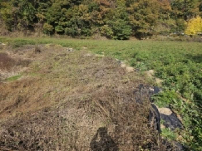 충청북도 제천시 산곡동 47 답 경매 사진 7