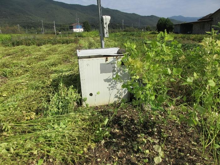 전라남도 구례군 마산면 마산리 330-8 답 경매 사진 17