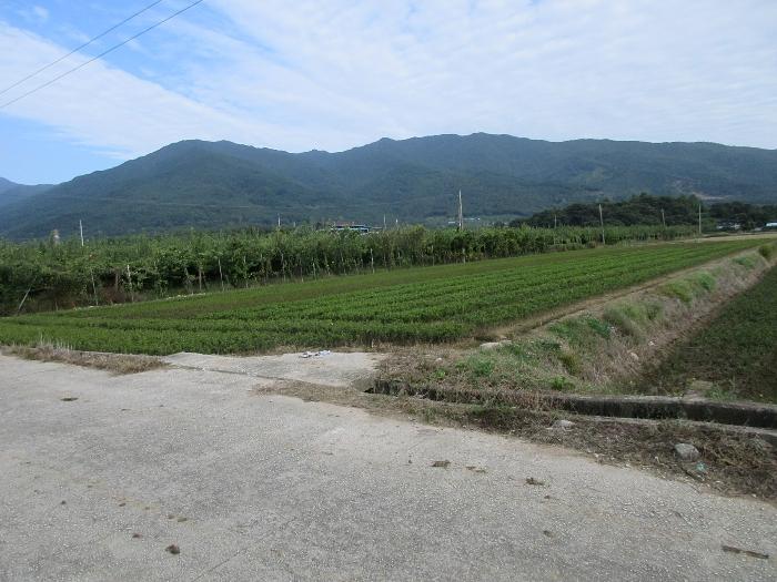 전라남도 구례군 마산면 마산리 330-8 답 경매 사진 9