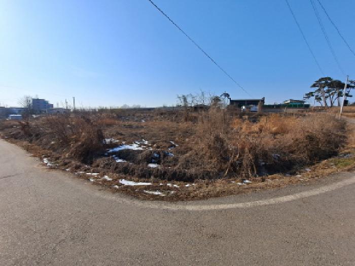충청남도 당진시 송악읍 고대리 61-35 답 경매 사진 17
