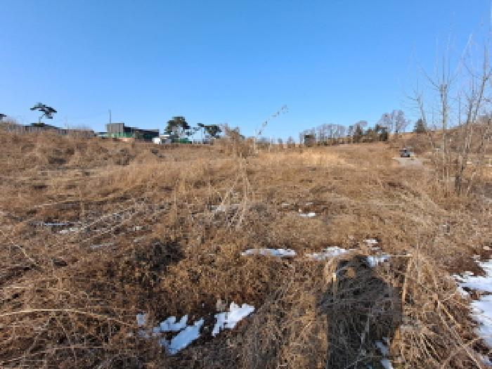 충청남도 당진시 송악읍 고대리 61-35 답 경매 사진 18