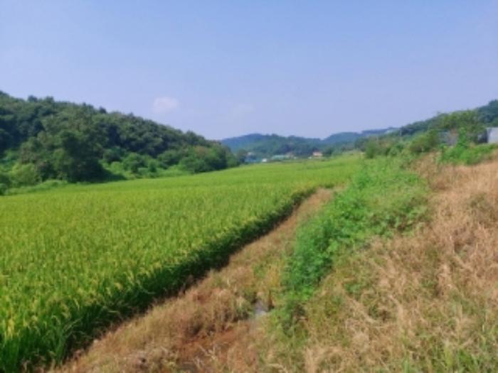 충청남도 당진시 송악읍 가학리 123 답 경매 사진 10