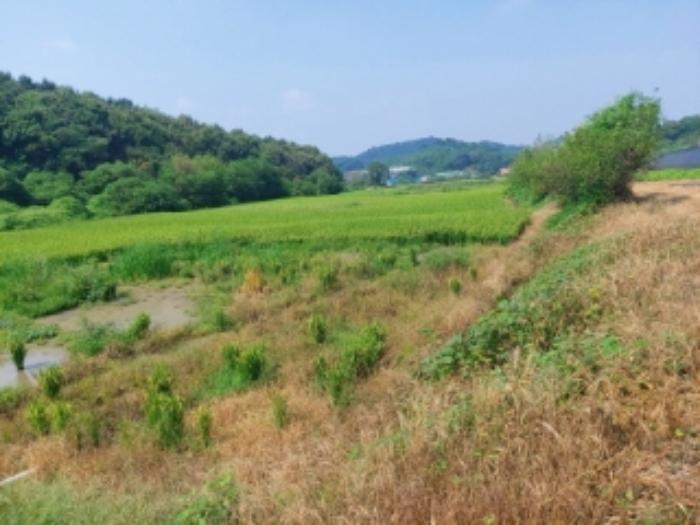 충청남도 당진시 송악읍 가학리 123 답 경매 사진 25