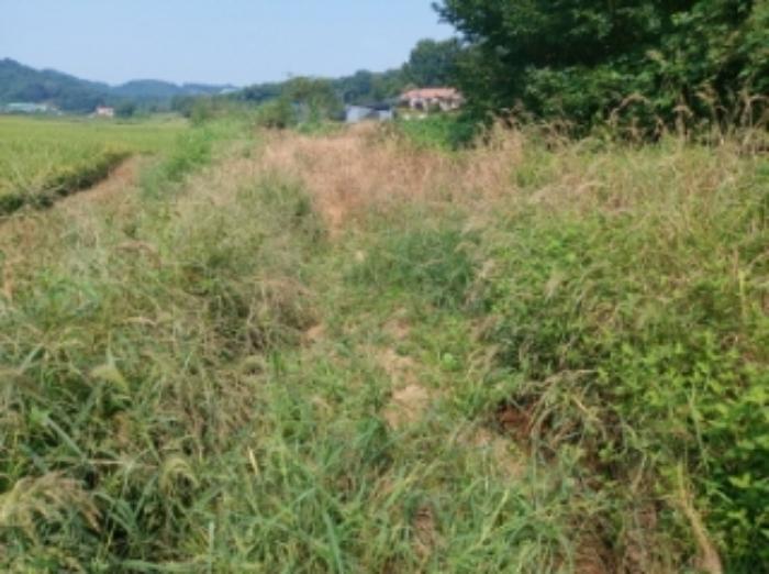 충청남도 당진시 송악읍 가학리 123 답 경매 사진 30