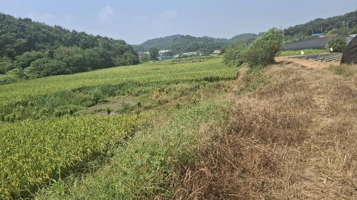 충청남도 당진시 송악읍 가학리 123 답 경매 사진 4