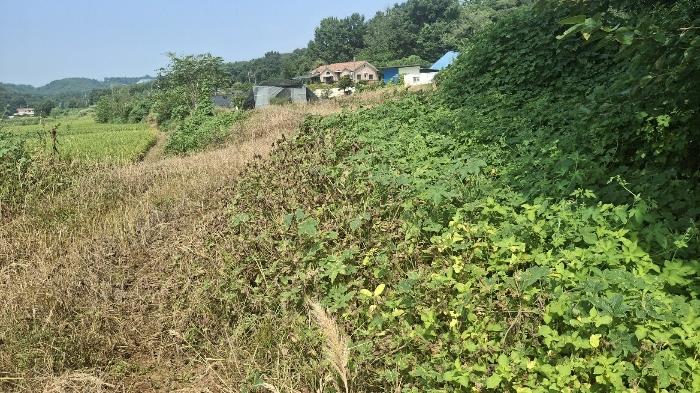 충청남도 당진시 송악읍 가학리 123 답 경매 사진 6