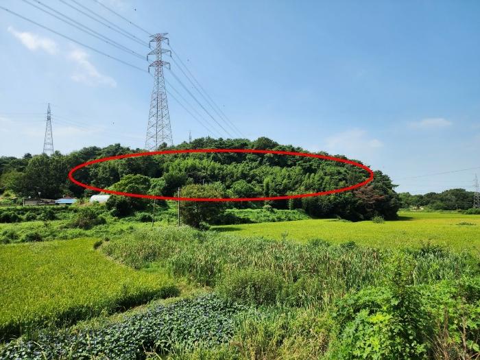 충청남도 당진시 송산면 금암리 481-2 임야 경매 사진 1