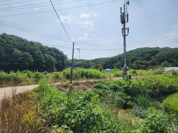충청남도 당진시 송산면 금암리 481-2 임야 경매 사진 16