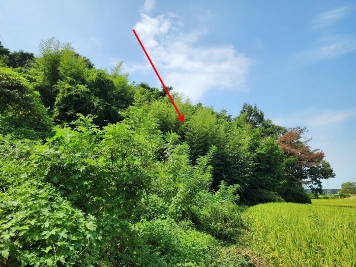 충청남도 당진시 송산면 금암리 481-2 임야 경매 사진 9