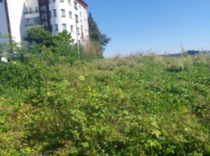 충청남도 당진시 송악읍 복운리 1-83 대지 경매 사진 13