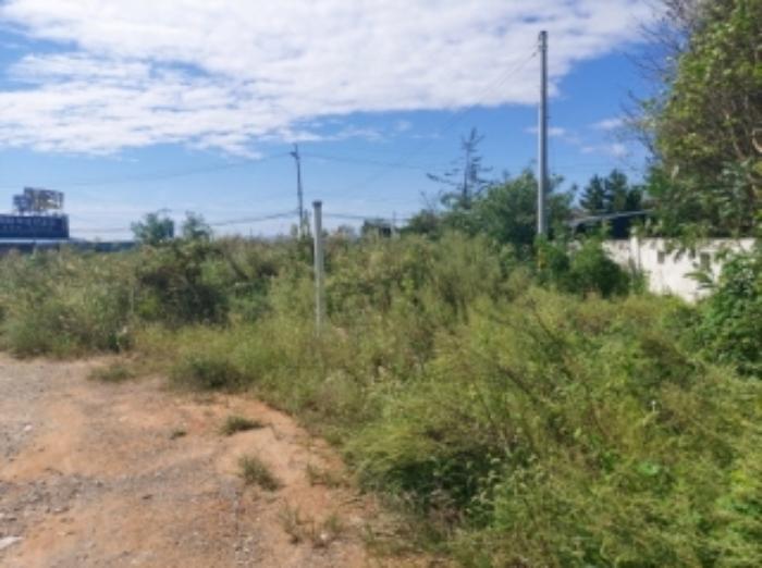 충청남도 당진시 송악읍 복운리 1-83 대지 경매 사진 17