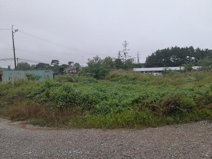 충청남도 당진시 송악읍 복운리 1-83 대지 경매 사진 2