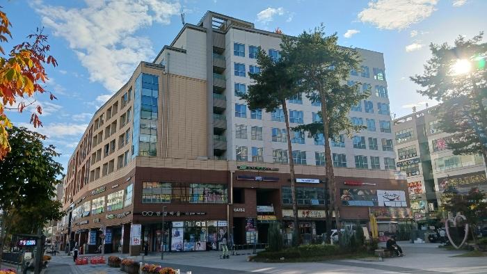 세종특별자치시 보듬3로 8-20, 7층703호 (도담동,세종한신휴시티)구) 세종특별자치시 도담동 660 오피스텔 경매 사진 1
