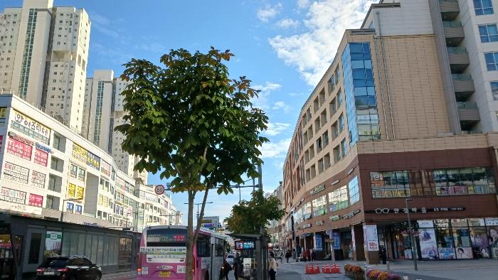 세종특별자치시 보듬3로 8-20, 7층703호 (도담동,세종한신휴시티)구) 세종특별자치시 도담동 660 오피스텔 경매 사진 2