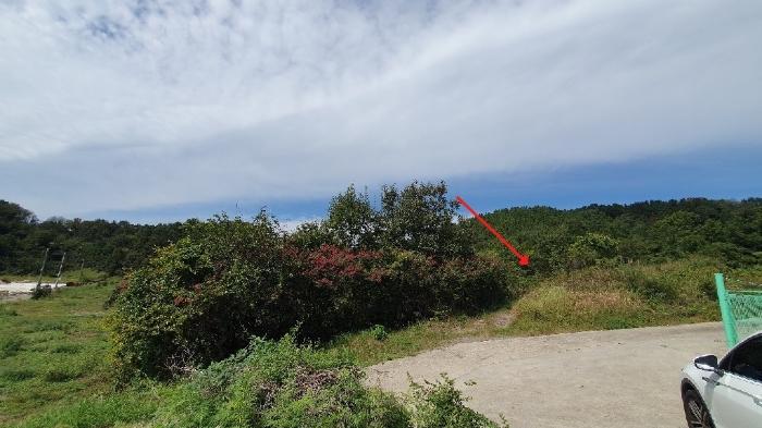 경상남도 의령군 낙서면 율산리 113 전 경매 사진 4