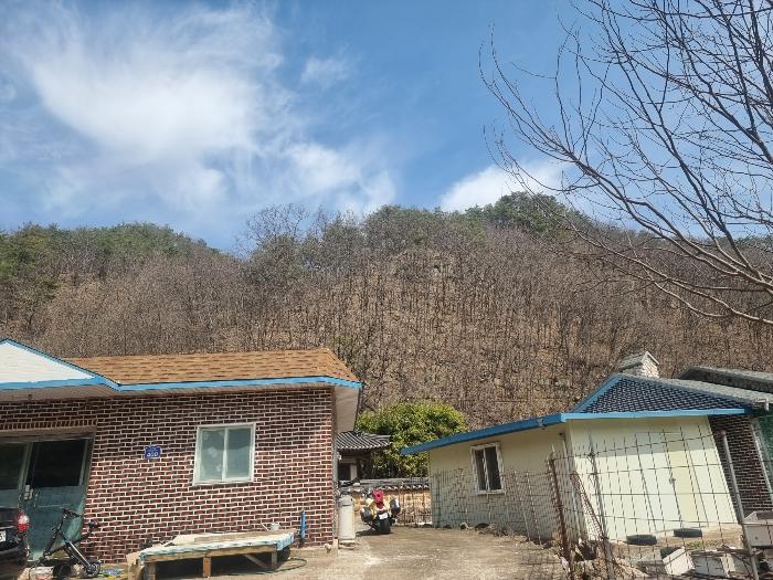 경상북도 영양군 영양읍 서부리 426-1 임야 경매 사진 12