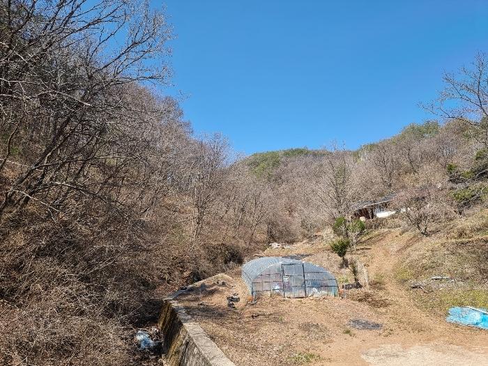 경상북도 영양군 영양읍 서부리 426-1 임야 경매 사진 17