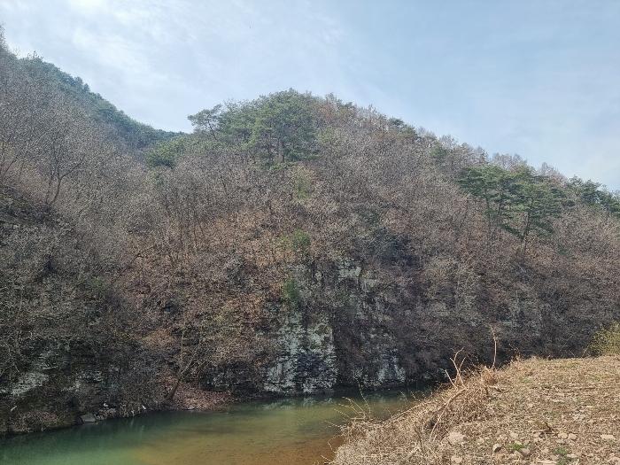 경상북도 영양군 영양읍 서부리 426-1 임야 경매 사진 23