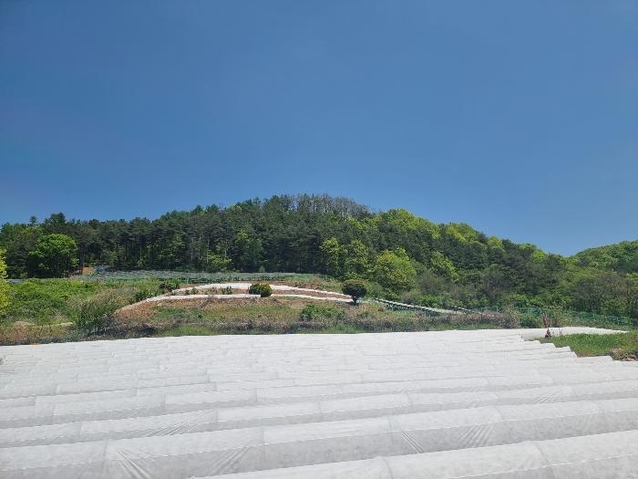 경상북도 영양군 영양읍 서부리 426-1 임야 경매 사진 25