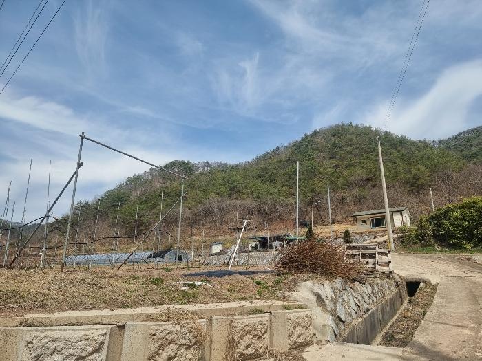 경상북도 영양군 영양읍 서부리 426-1 임야 경매 사진 28