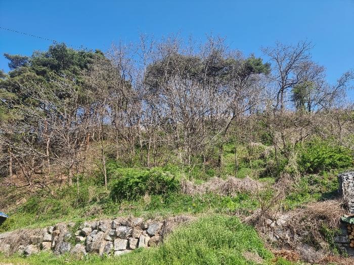 경상북도 영양군 영양읍 서부리 426-1 임야 경매 사진 52