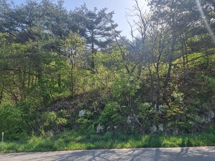 경상북도 영양군 영양읍 서부리 426-1 임야 경매 사진 53