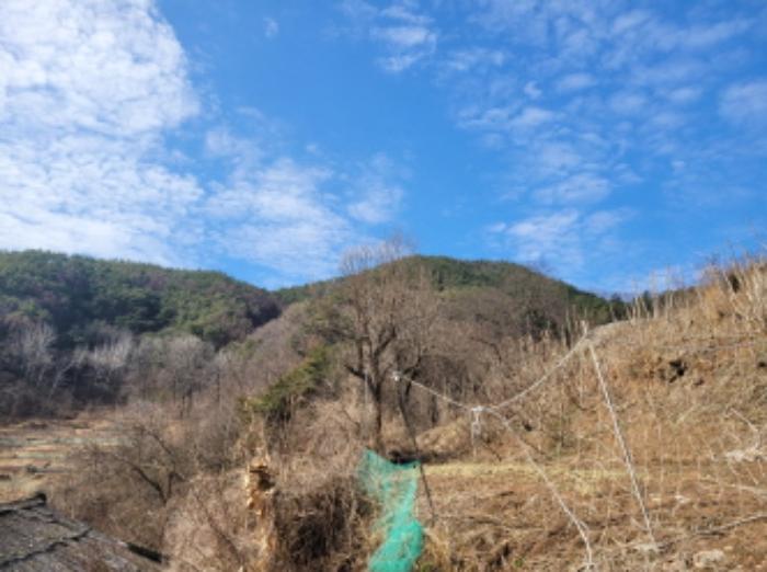 경상북도 영양군 영양읍 서부리 426-1 임야 경매 사진 67