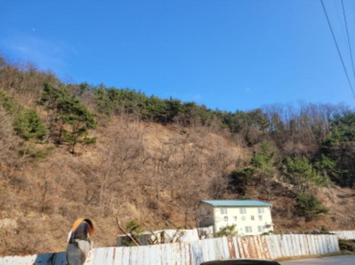 경상북도 영양군 영양읍 서부리 426-1 임야 경매 사진 72