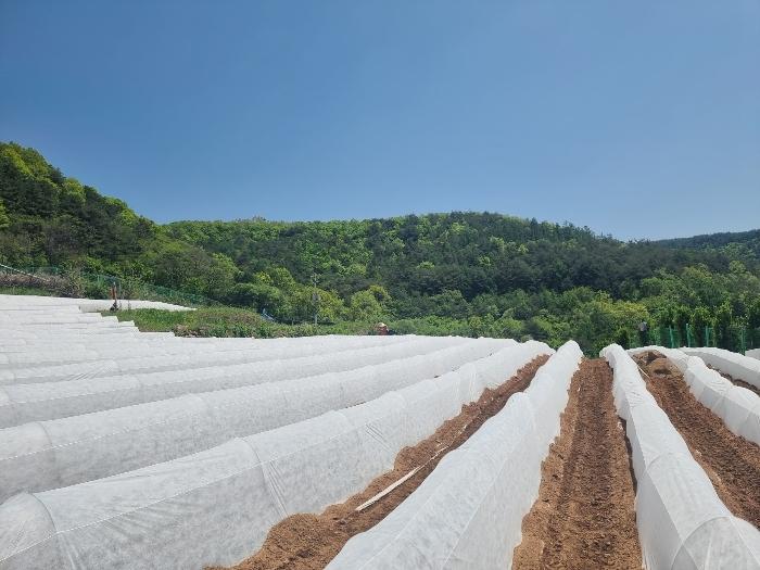 경상북도 영양군 영양읍 서부리 426-1 임야 경매 사진 9