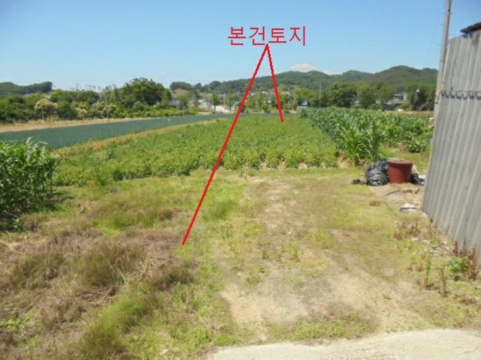 충청북도 충주시 동량면 조동리 1349-3 전 경매 사진 1