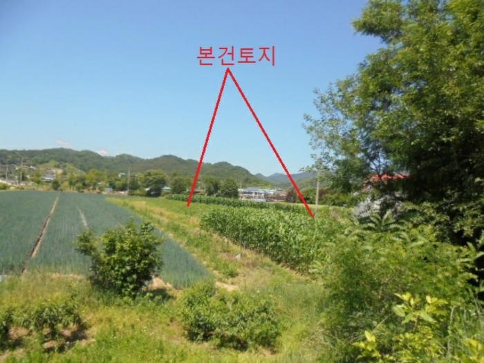 충청북도 충주시 동량면 조동리 1349-3 전 경매 사진 2