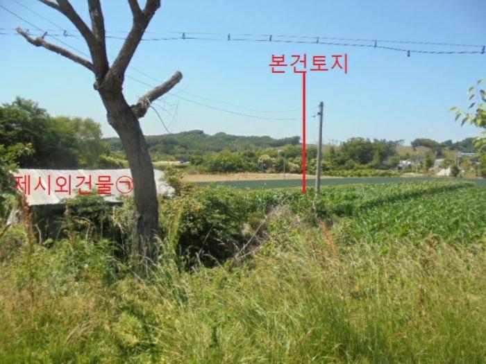 충청북도 충주시 동량면 조동리 1349-3 전 경매 사진 4