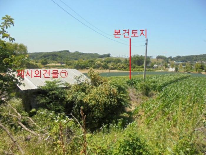 충청북도 충주시 동량면 조동리 1349-3 전 경매 사진 5