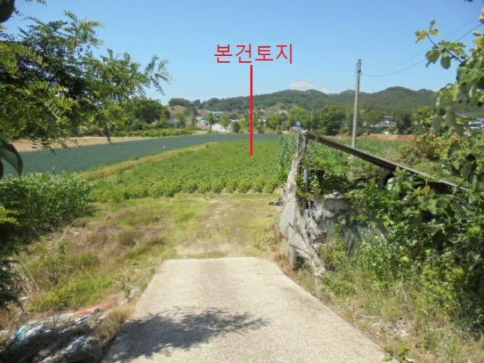 충청북도 충주시 동량면 조동리 1349-3 전 경매 사진 8