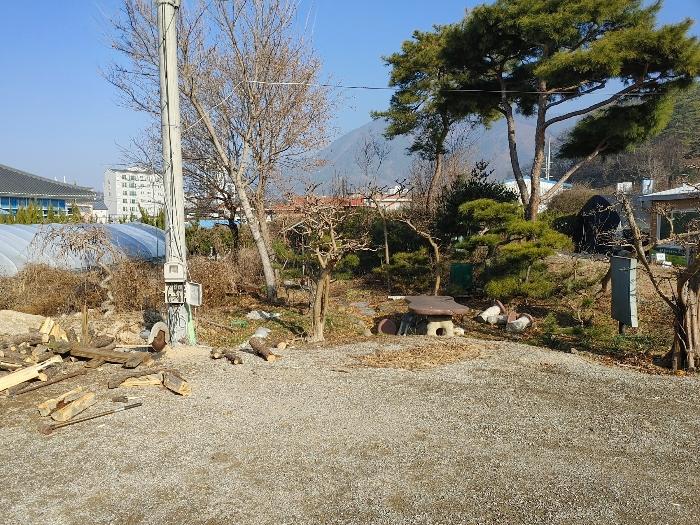 경상남도 창녕군 영산면 동리 241-2 근린시설 경매 사진 2
