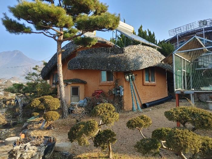 경상남도 창녕군 영산면 동리 241-2 근린시설 경매 사진 26